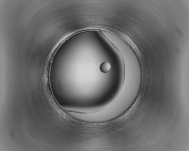 X0000112960908200909101630