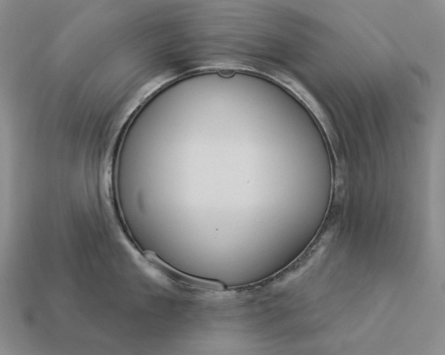 X0000112960909200909101630