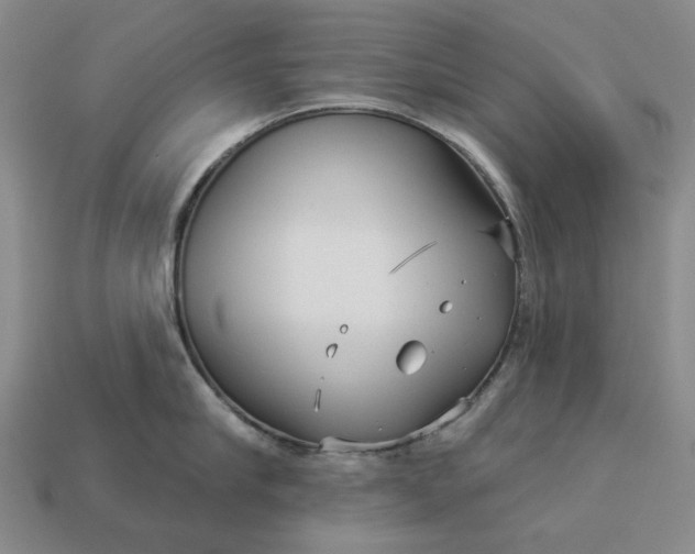 X0000112960910200909101630