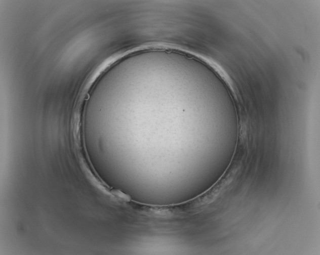 X0000112960911200909101630