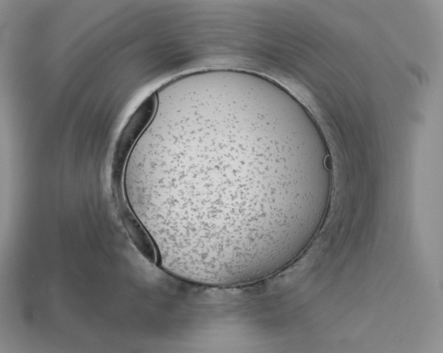 X0000112960912200909101630