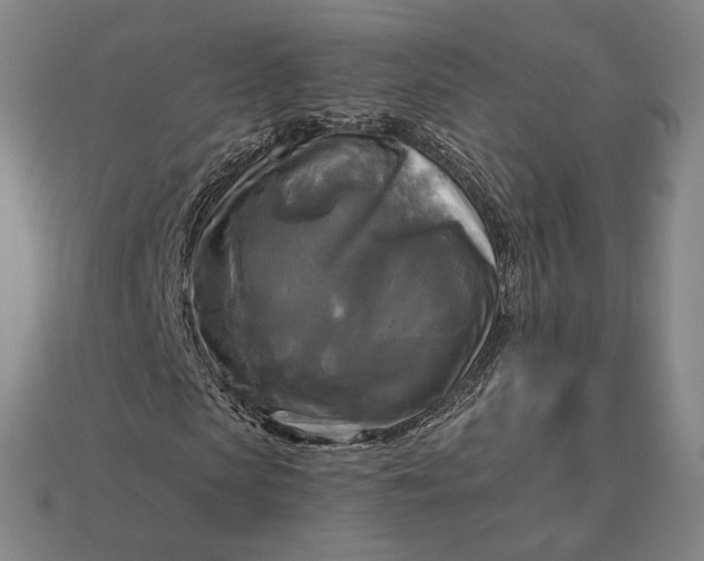 X0000112960913200909101629