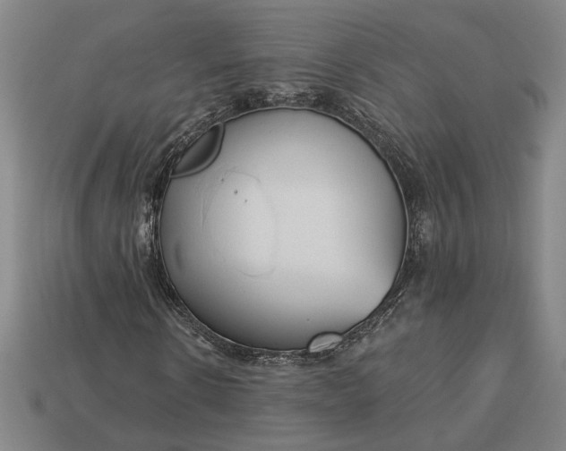 X0000112960914200909101629