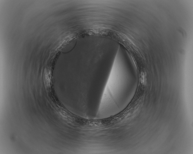 X0000112960915200909101629