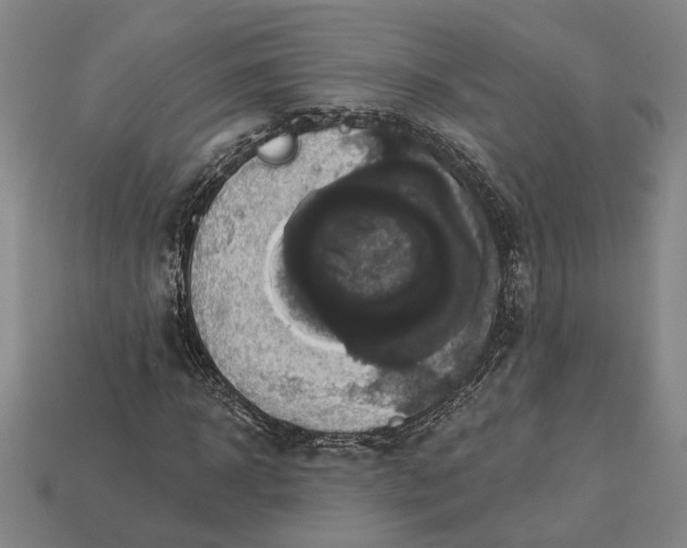 X0000112960918200909101629