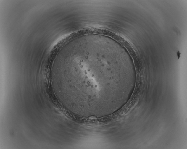 X0000112960919200909101629