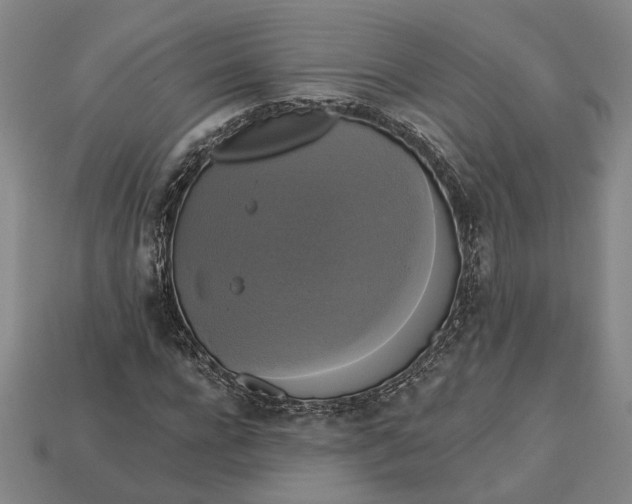 X0000112960920200909101629