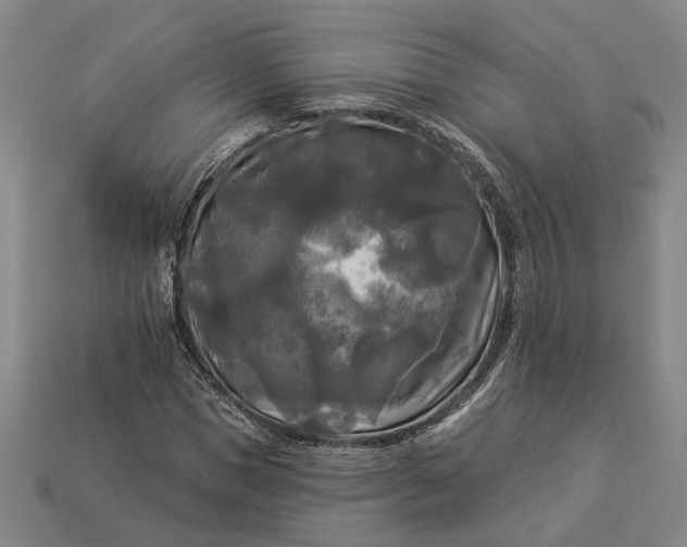 X0000112960921200909101629