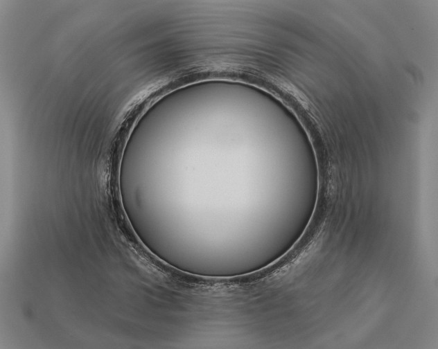 X0000112960922200909101629