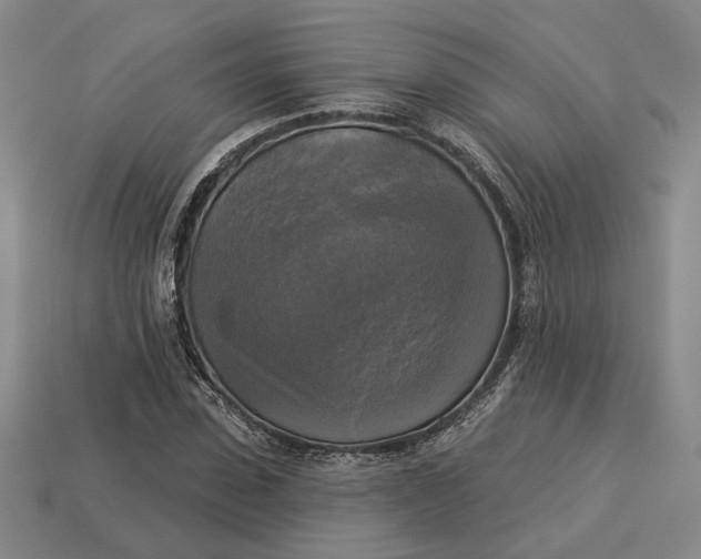 X0000112960923200909101629