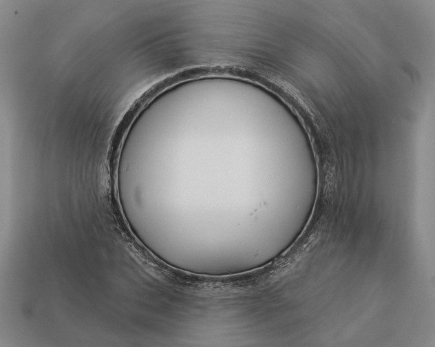 X0000112960927200909101629