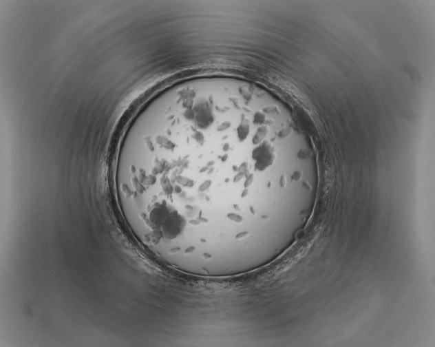 X0000112960928200909101629