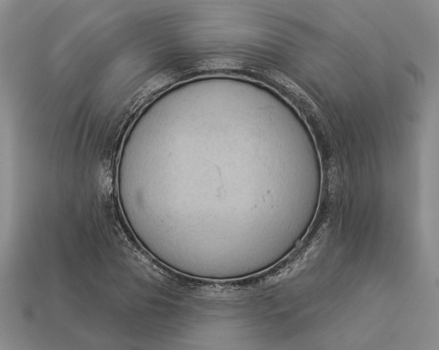 X0000112960929200909101629