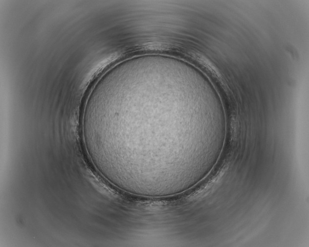 X0000112960930200909101629