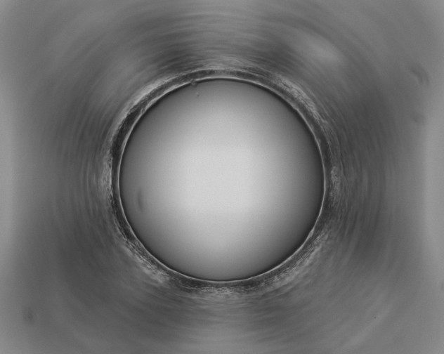 X0000112960931200909101629