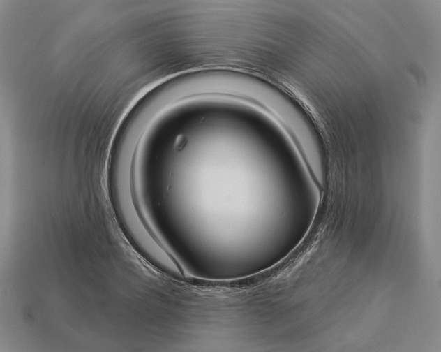 X0000112960932200909101629