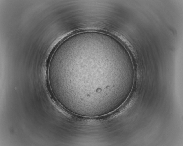 X0000112960933200909101629