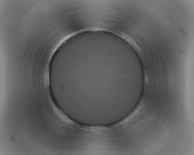 X0000112960934200909101629