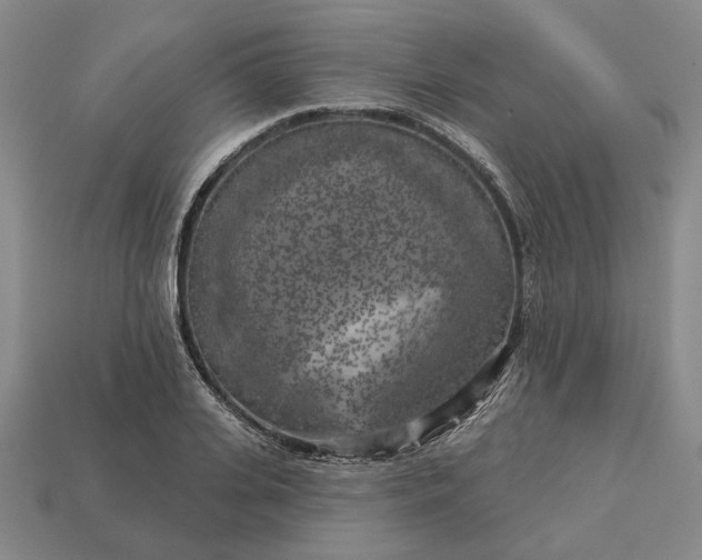 X0000112960935200909101629