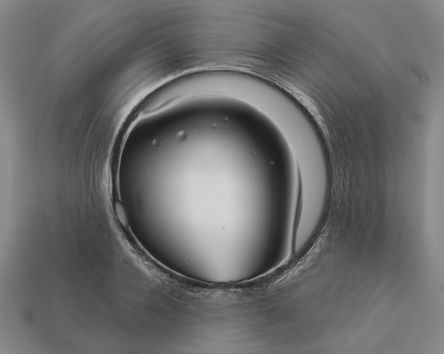 X0000112960936200909101629