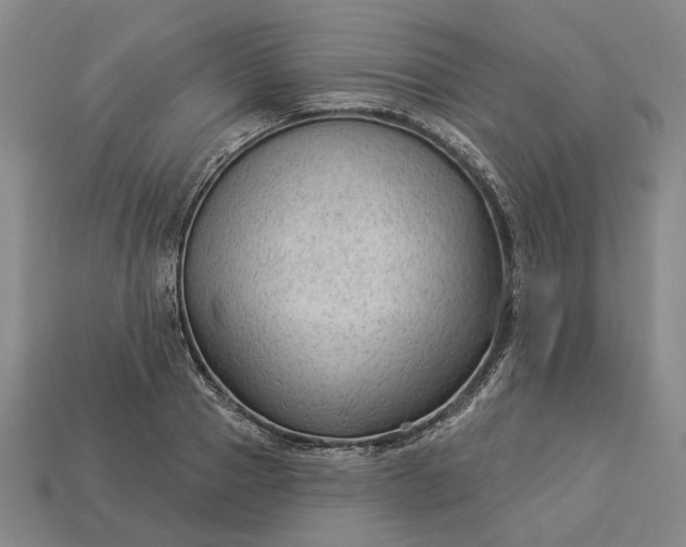 X0000112960937200909101629