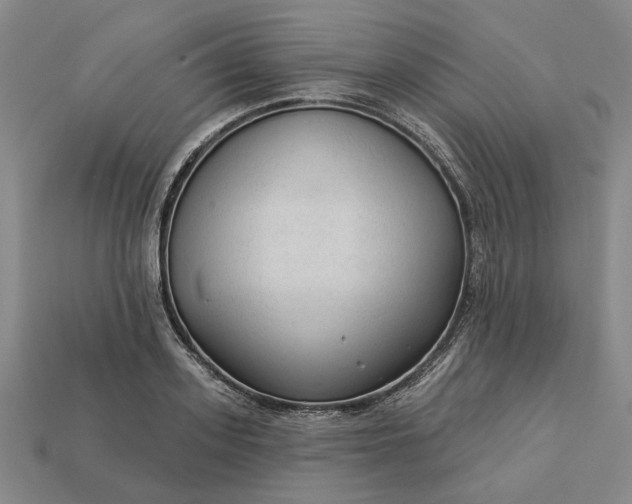 X0000112960939200909101629