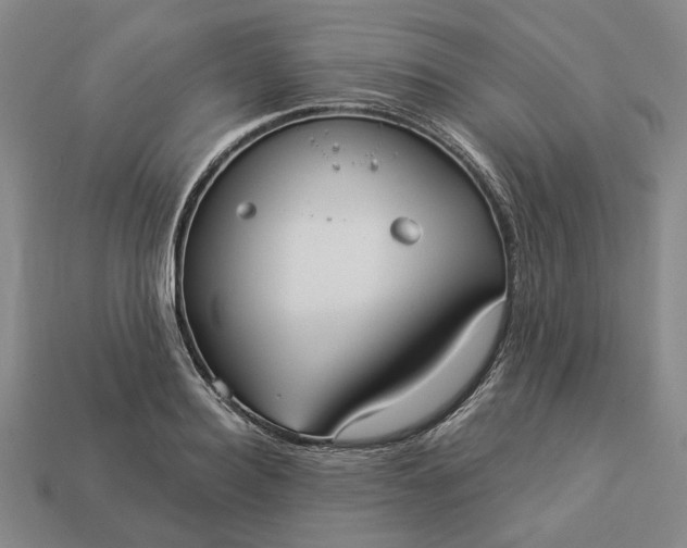 X0000112960940200909101629