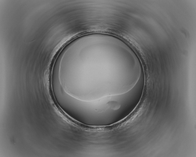 X0000112960941200909101629