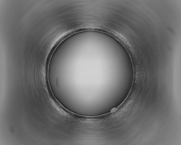 X0000112960942200909101629