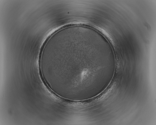 X0000112960943200909101629