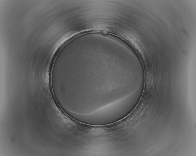 X0000112960944200909101629