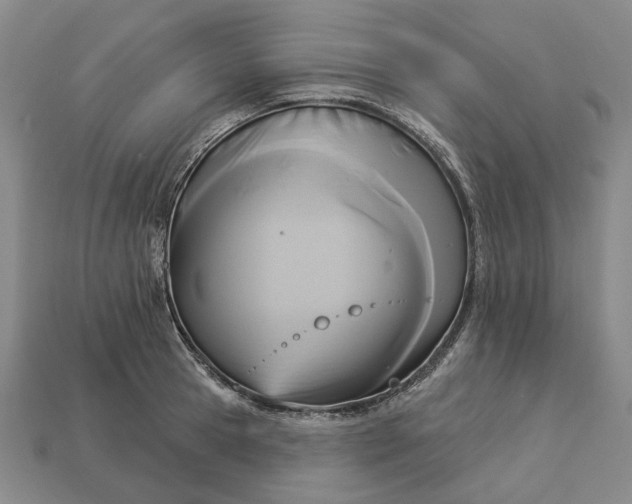 X0000112960945200909101630