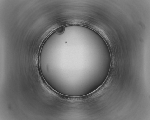 X0000112960946200909101630