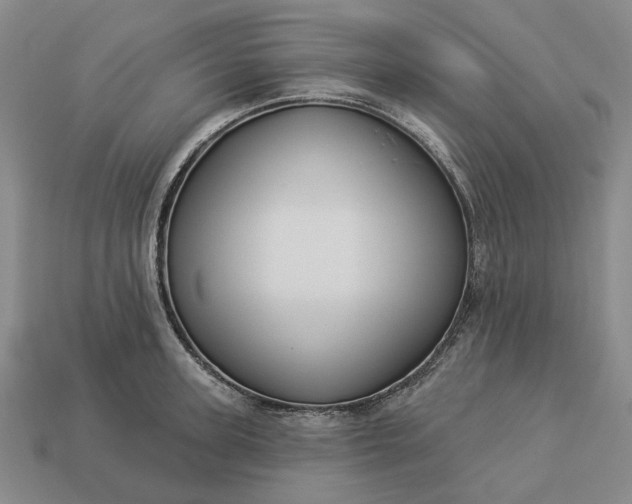 X0000112960947200909101630