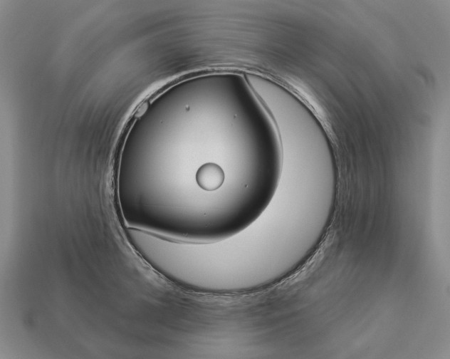 X0000112960948200909101630