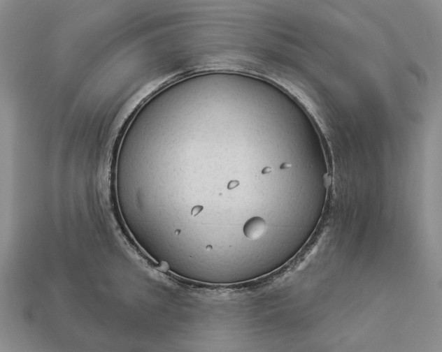 X0000112960949200909101630