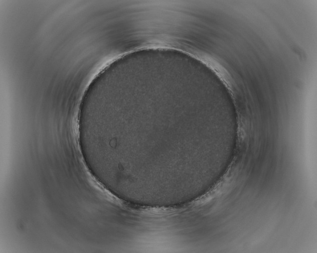 X0000112960950200909101630