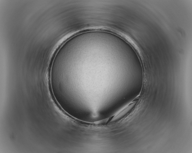 X0000112960951200909101630