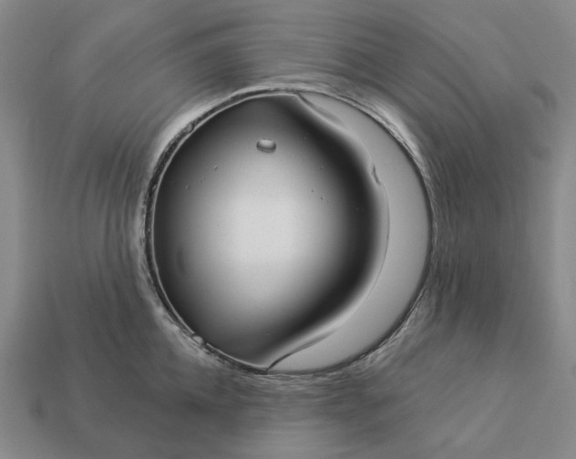 X0000112960952200909101630