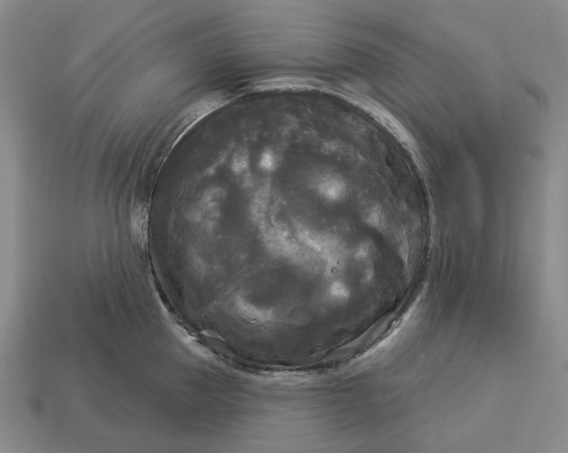 X0000112960953200909101630