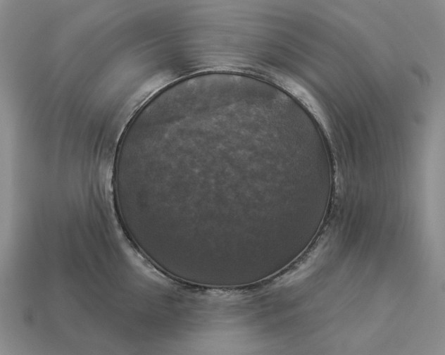 X0000112960954200909101630