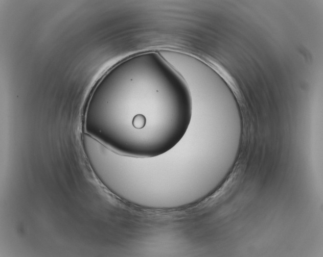 X0000112960956200909101630