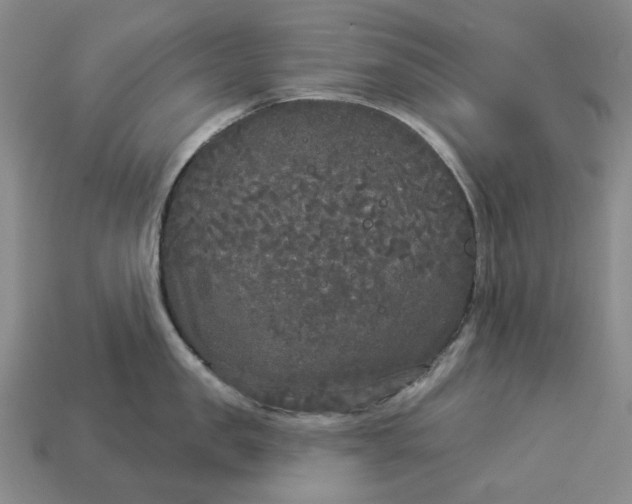 X0000112960957200909101630