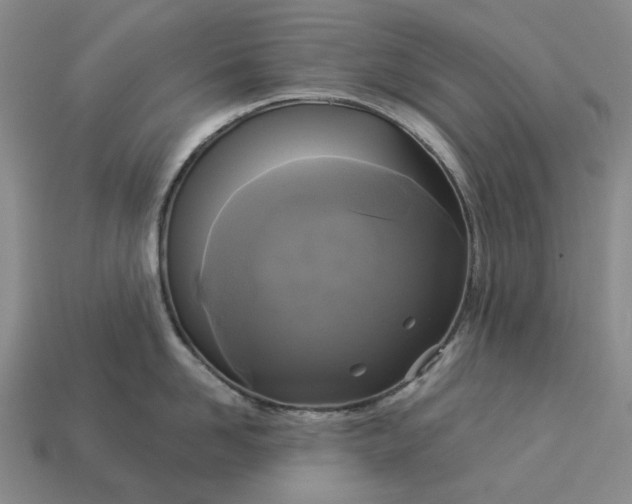 X0000112960958200909101630