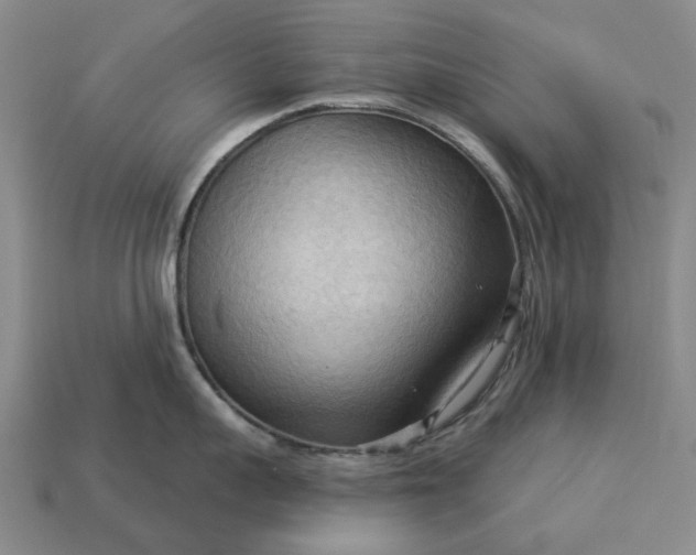 X0000112960959200909101630