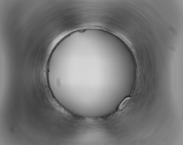 X0000112960960200909101630