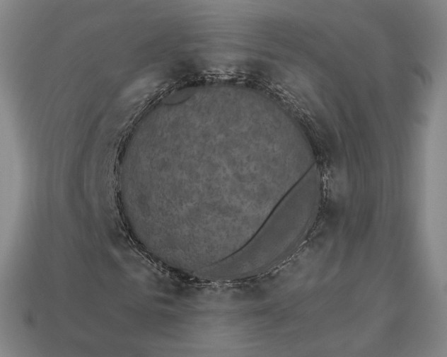 X0000112960961200909101629