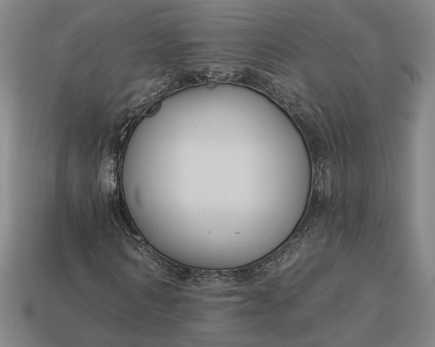 X0000112960962200909101629