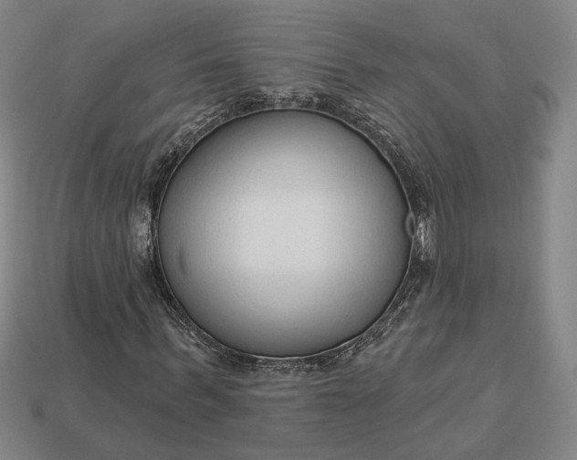 X0000112960963200909101629