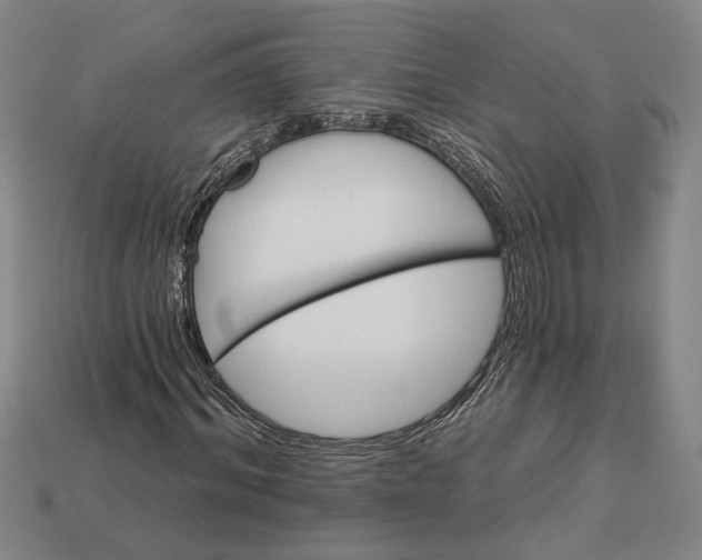 X0000112960964200909101629